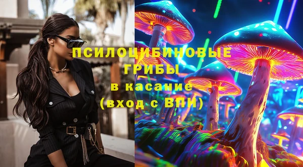 прущие грибы Абинск