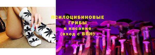 прущие грибы Абдулино