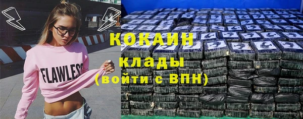 прущие грибы Абинск